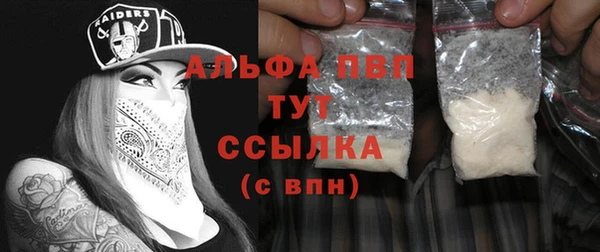 прущие грибы Белокуриха