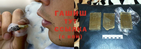 прущие грибы Белокуриха