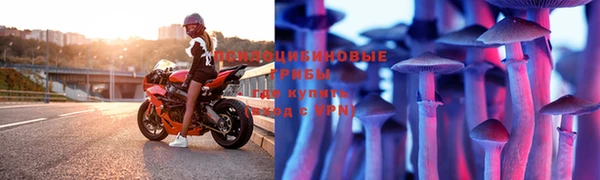 mix Богородицк