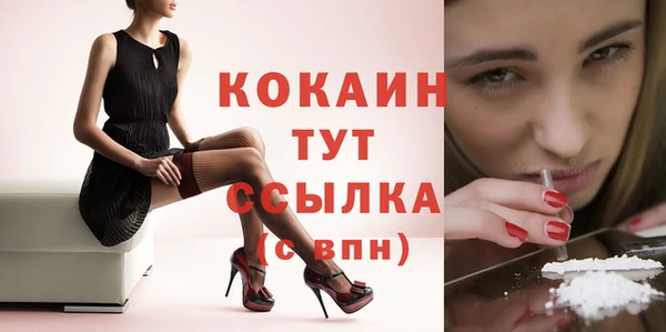прущие грибы Белокуриха