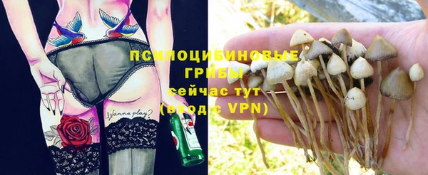 mix Богородицк