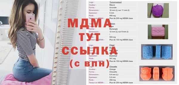 spice Богданович