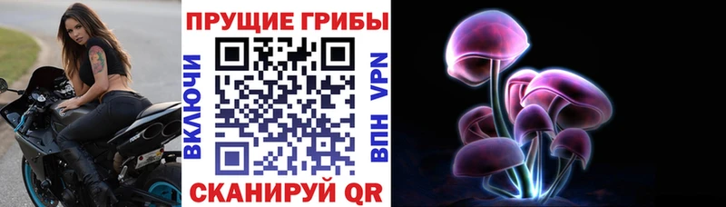 Псилоцибиновые грибы мухоморы  цены   Боровск 